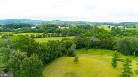 Other - 6542 Pine Stake Rd, Culpeper, VA 22701 photo 16 of 48