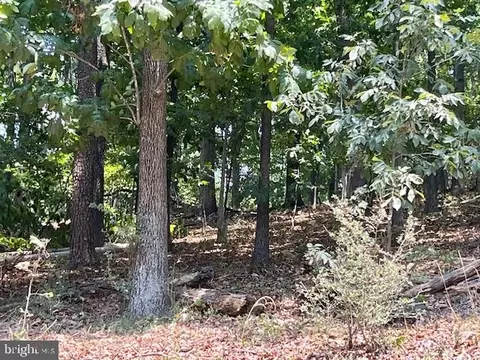 River View Place, Shenandoah, VA 22849