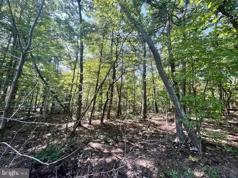 Cardinal Dr., Luray, VA 22835