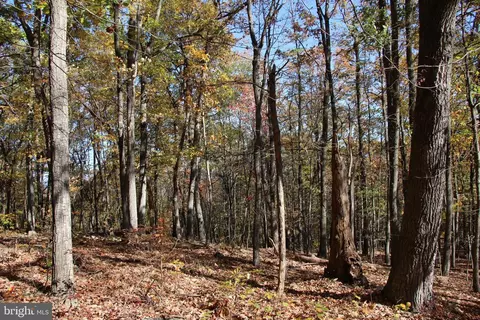 Nicole A Lane, Stanley, VA 22851