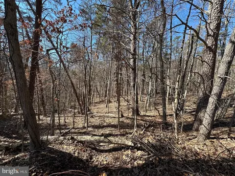 Lookout Drive, Shenandoah, VA 22849
