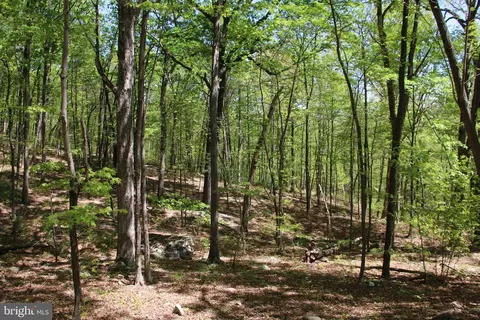 N Egypt Bend Road, Luray, VA 22835