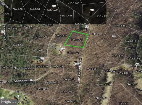 lot A21 Cross Mountain Rd, Luray, VA 22835