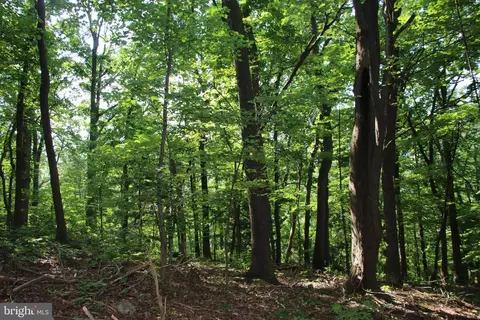 Baxter Drive, Stanley, VA 22851 photo 4