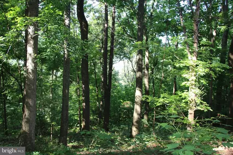 Baxter Drive, Stanley, VA 22851 photo 3