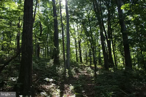 Baxter Drive, Stanley, VA 22851 photo 12