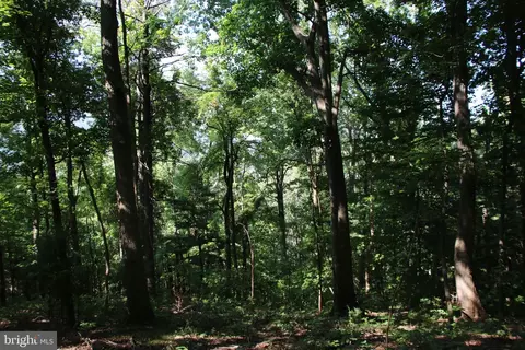 Baxter Drive, Stanley, VA 22851 photo 5