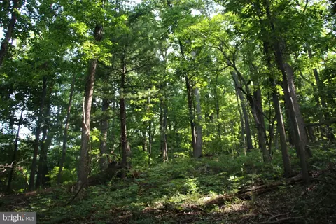 Baxter Drive, Stanley, VA 22851 photo 13