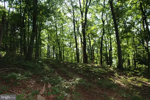 Baxter Drive, Stanley, VA 22851 photo 11