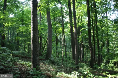 Baxter Drive, Stanley, VA 22851 photo 8
