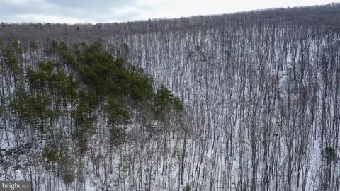 Cubbage Hollow Rd, Stanley, VA 22851 photo 16