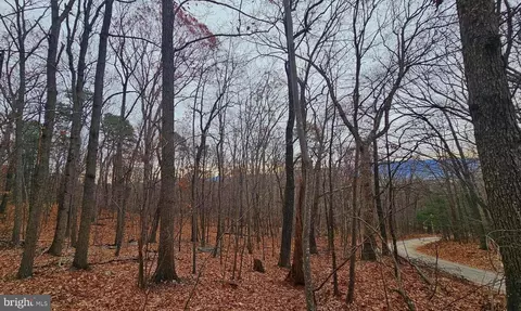tbd Forest Drive Ext, Luray, VA 22835