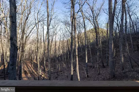 Other - 103 Buzzard View Pl, Shenandoah, VA 22849 photo 13 of 24