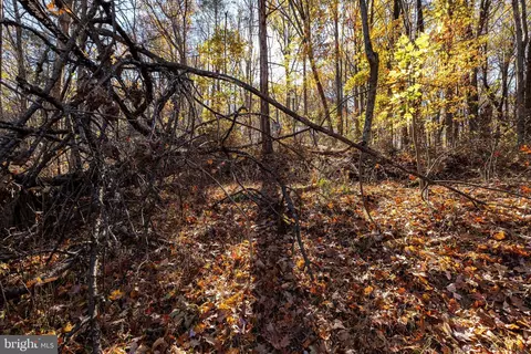 0 Friendly Ln, Stanley, VA 22851 photo 41