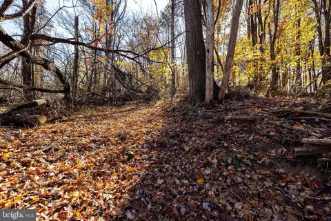 0 Friendly Ln, Stanley, VA 22851 photo 40