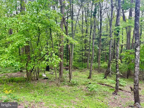 536 Circle Dr, Stanley, VA 22851 photo 17