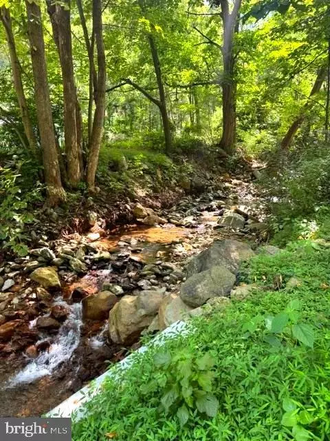 Other - 145 Weakley Ln, Stanley, VA 22851 photo 10 of 10