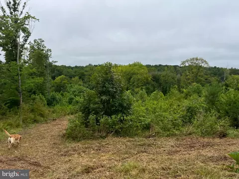 Rock Springs Rd, Ringgold, VA 24586 photo 21