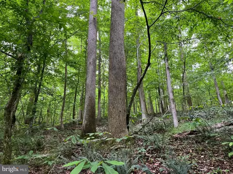 Rock Springs Rd, Ringgold, VA 24586 photo 25
