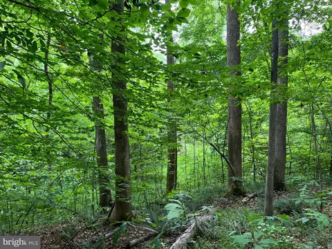 Rock Springs Rd, Ringgold, VA 24586 photo 19