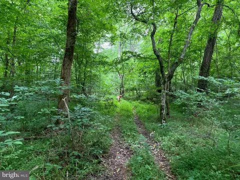 Rock Springs Rd, Ringgold, VA 24586 photo 28