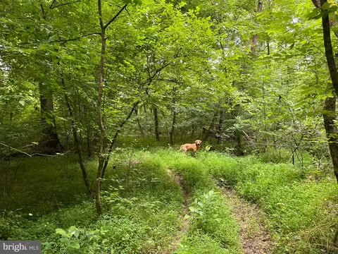 Rock Springs Rd, Ringgold, VA 24586 photo 30