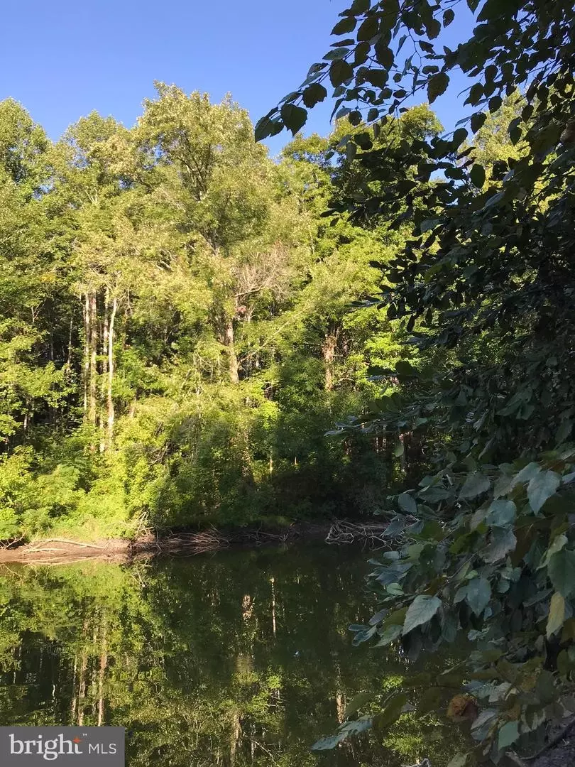  tbd Riceville Rd #LOT 1, Java, VA 24565 photo 7