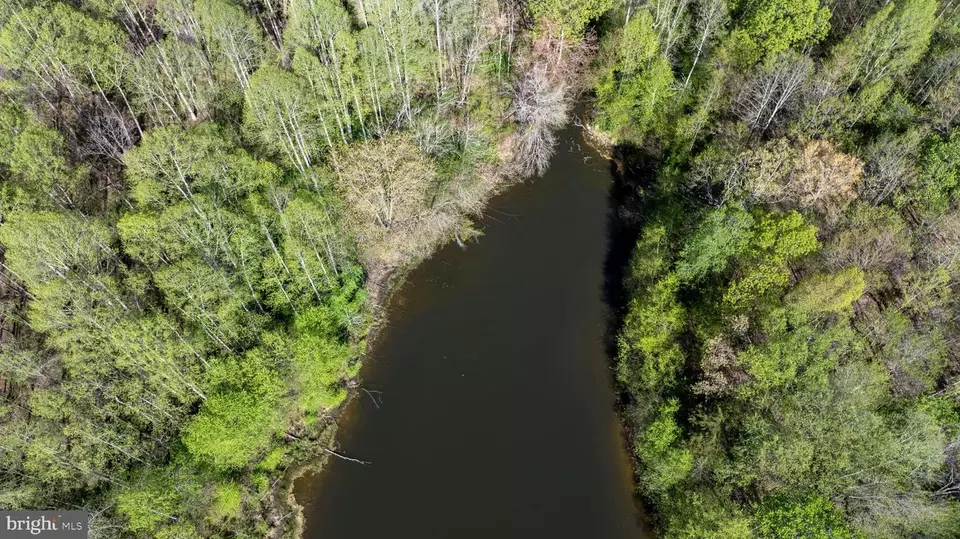  tbd Riceville Rd #LOT 1, Java, VA 24565 photo 29