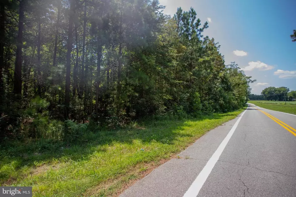  tbd Riceville Rd #LOT 1, Java, VA 24565 photo 3