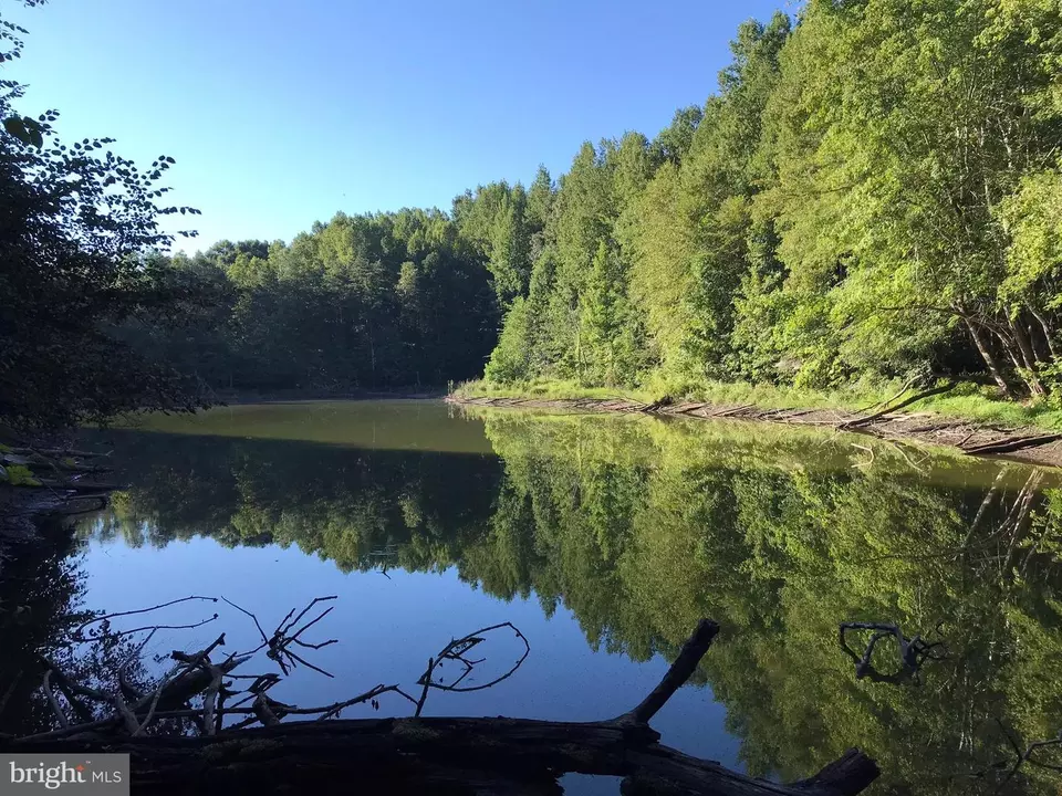  tbd Riceville Rd #LOT 1, Java, VA 24565 photo 14