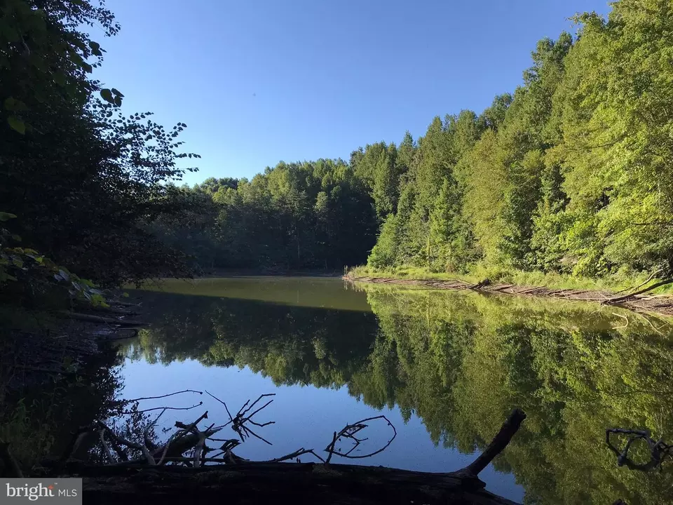 tbd Riceville Rd #LOT 1, Java, VA 24565 photo 10