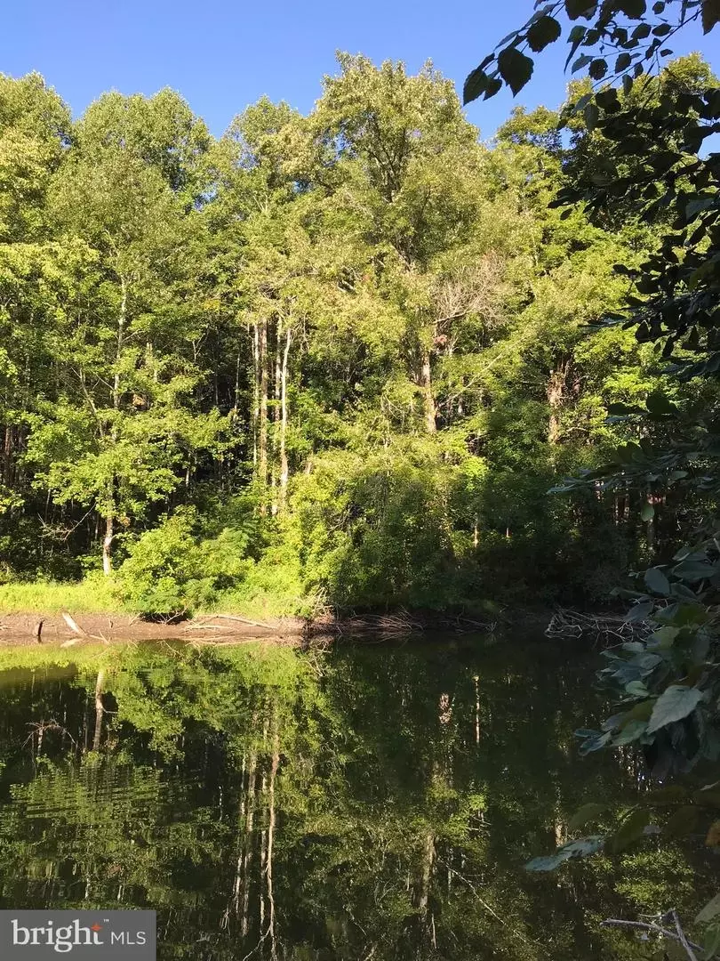  tbd Riceville Rd #LOT 1, Java, VA 24565 photo 6