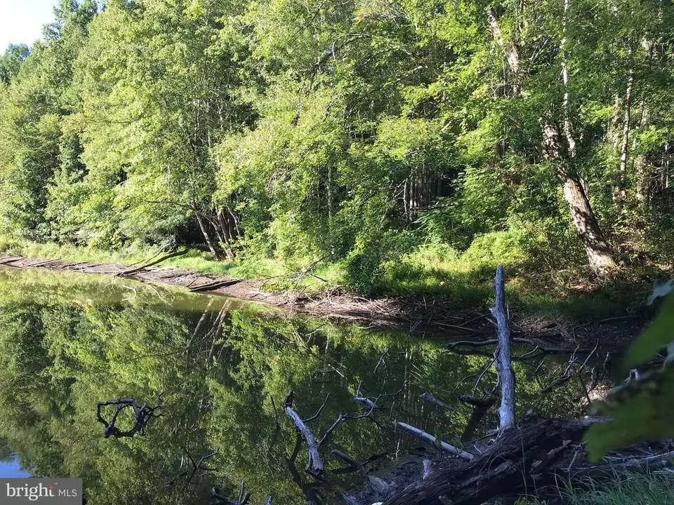  tbd Riceville Rd #LOT 1, Java, VA 24565 photo 12
