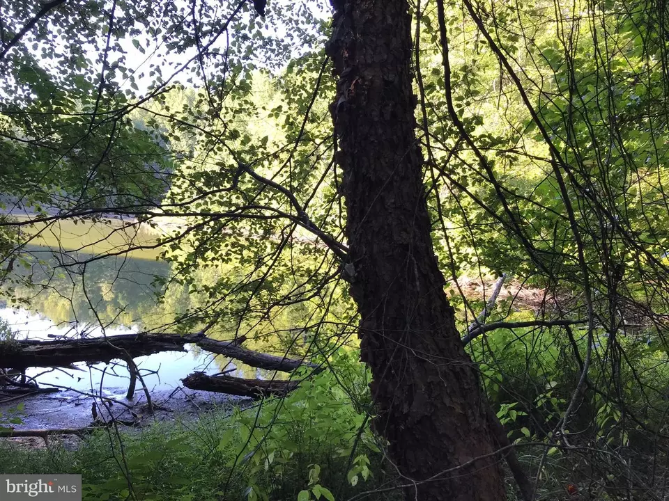  tbd Riceville Rd #LOT 1, Java, VA 24565 photo 8