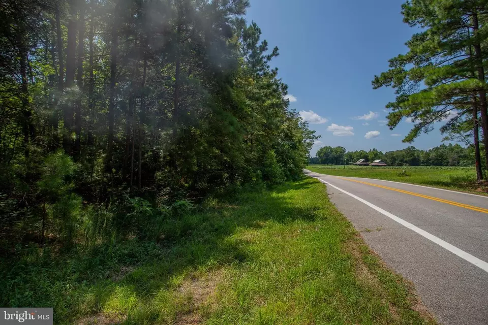  tbd Riceville Rd #LOT 1, Java, VA 24565 photo 2