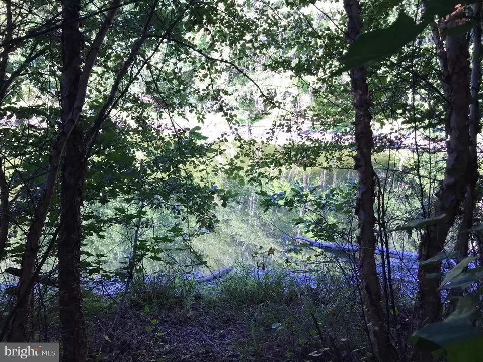  tbd Riceville Rd #LOT 1, Java, VA 24565 photo 4