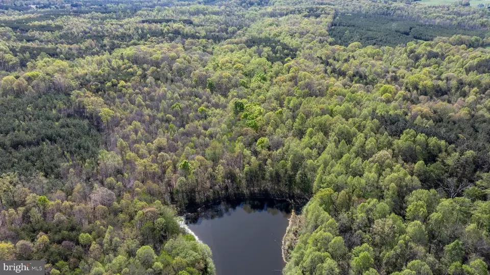  tbd Riceville Rd #LOT 1, Java, VA 24565 photo 32