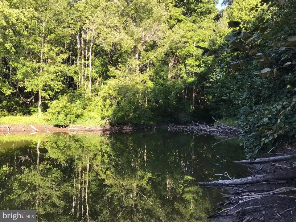  tbd Riceville Rd #LOT 1, Java, VA 24565 photo 5