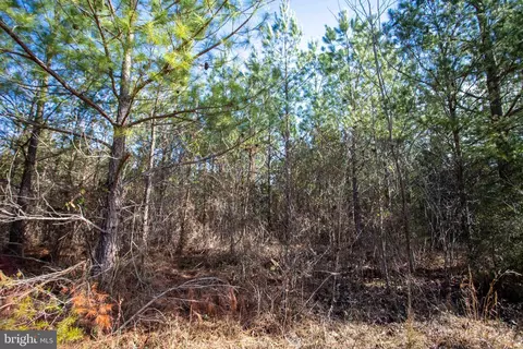 tbd W Gretna #1, Sandy Level, VA 24161 photo 22