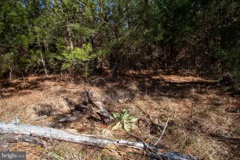 tbd W Gretna #1, Sandy Level, VA 24161 photo 12