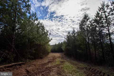tbd W Gretna #1, Sandy Level, VA 24161 photo 24
