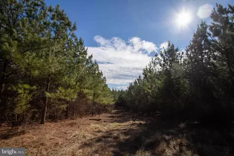 tbd W Gretna #1, Sandy Level, VA 24161 photo 13