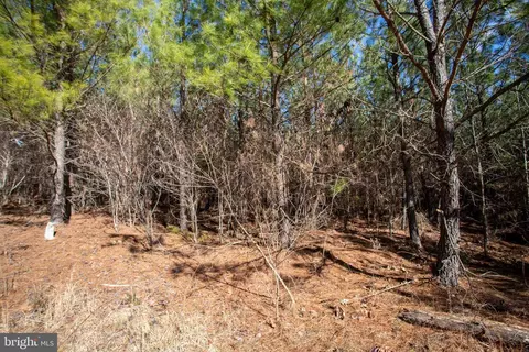 tbd W Gretna #1, Sandy Level, VA 24161 photo 10