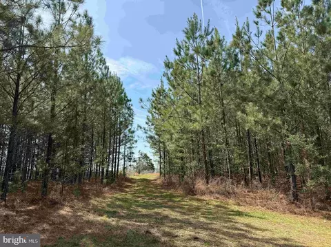 Water Oak Road, Dry Fork, VA 24549 photo 3
