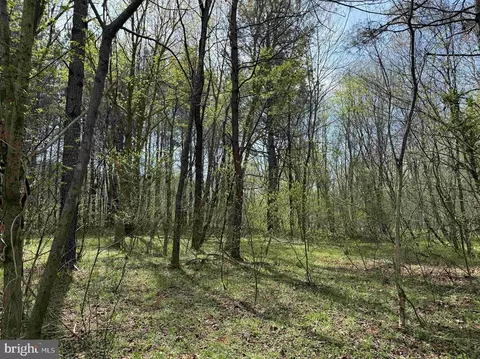 Water Oak Road, Dry Fork, VA 24549 photo 10