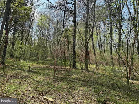 Water Oak Road, Dry Fork, VA 24549 photo 9