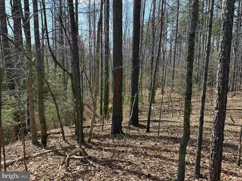 Water Oak Road, Dry Fork, VA 24549 photo 2