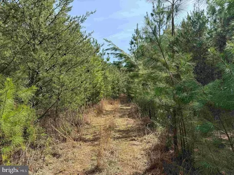 Water Oak Road, Dry Fork, VA 24549 photo 7