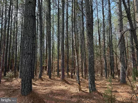 Water Oak Road, Dry Fork, VA 24549 photo 13