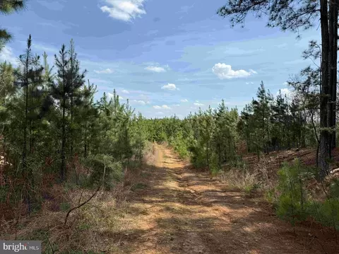 Wyatt Farm Road, Dry Fork, VA 24549 photo 14